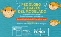 Museo Fonck te invita al taller “Pez Globo a través del modelado”