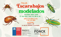 Taller artístico con plastilina en el Fonck: “Escarabajos Modelados”