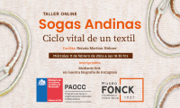 El Museo Fonck te invita al taller gratuito y online “Sogas andinas: ciclo vital de un textil”