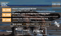 En junio regresan la paleontología y el paleoarte a las charlas VCC de Museo Fonck En junio regresan la paleontología y el paleoarte a las charlas VCC de Museo Fonck
