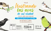 Taller de pintura en Museo Fonck inspirado en aves de la Región de Valparaíso Taller de pintura en Museo Fonck inspirado en aves de la Región de Valparaíso