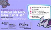 Museo Fonck te invita al taller “Tortugas del Fonck, forma y modelado”
