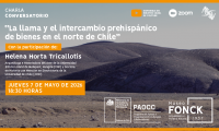Charla Conversatorio de Museo Fonck: “La llama y el intercambio prehispánico de bienes en el norte de Chile”