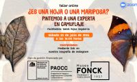El Museo Fonck invita a descubrir el sorprendente camuflaje de la mariposa hoja a través de un taller online de acuarela