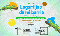 Anímate a participar del taller de pintura: Lagartijas de mi barrio