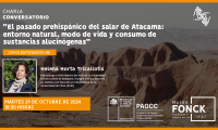 Charla conversatorio en Museo Fonck sobre el pasado prehispánico del salar de Atacama